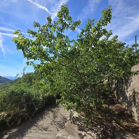 Appartement Eucalipto - By Ligooria Magliolo