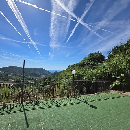 Eucalipto - By Ligooria Magliolo